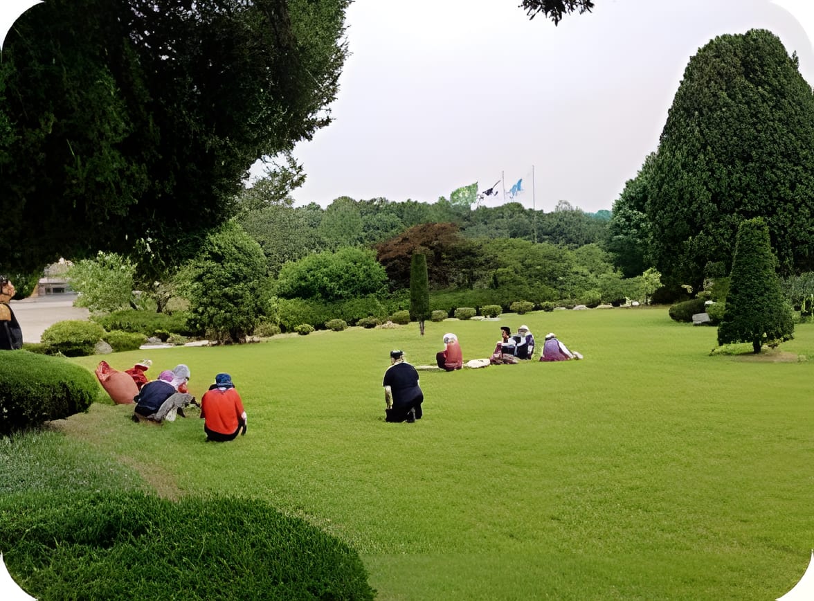 잔디관리·제초